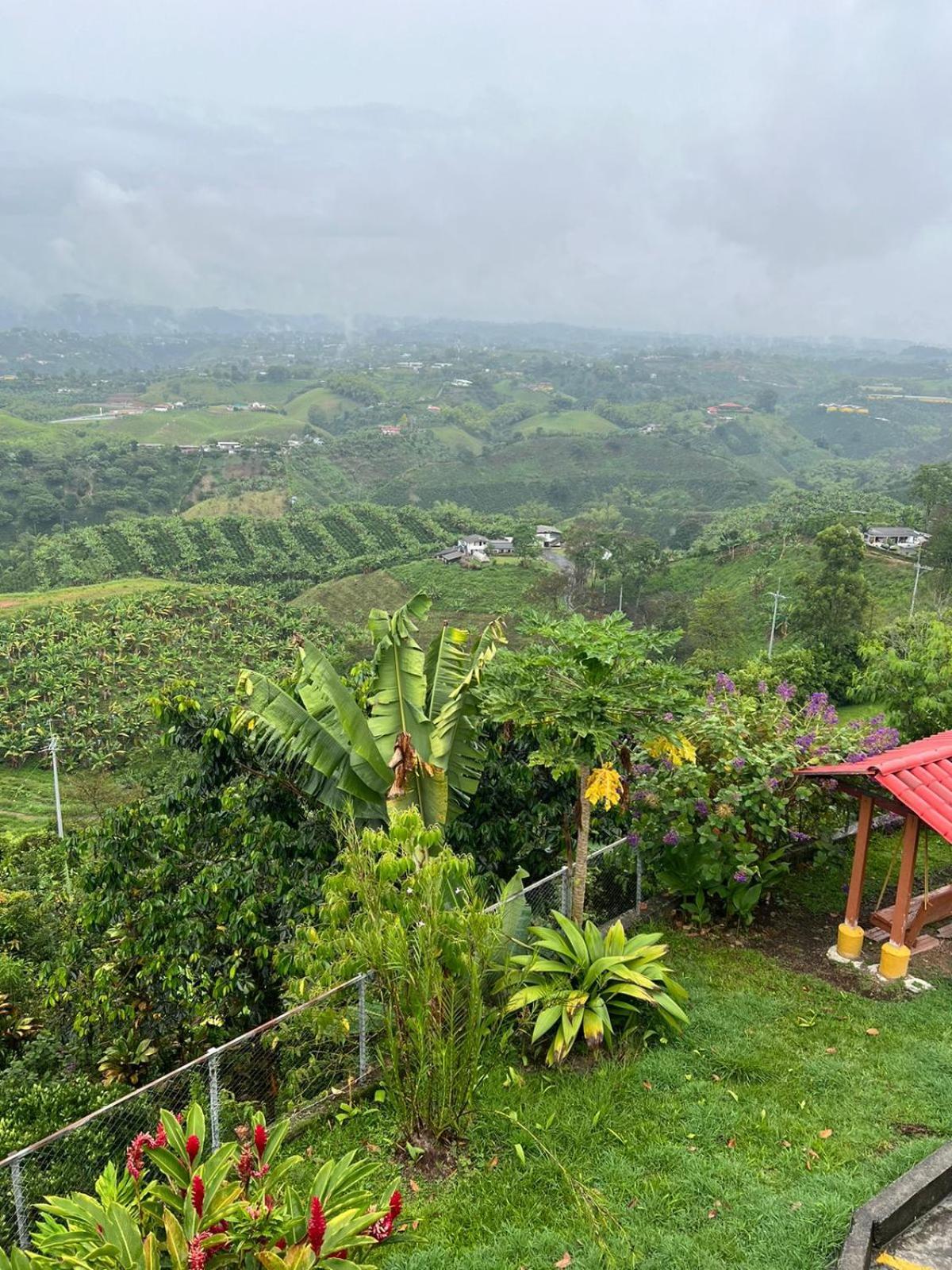 Eco Hotel La Selecta Pereira Exterior photo
